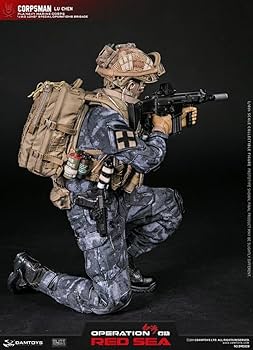DAMTOYS 1/6 紅海行動 中国人民解放軍海軍 特種部隊 LU CHEN DAMTOYS 1/6 紅海行動 中国人民解放軍海軍 特種部隊 LU CHEN
