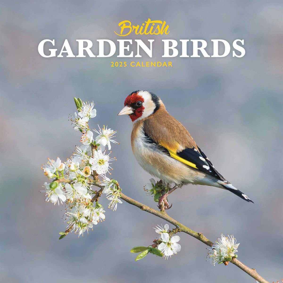 British Garden Birds Mini Wall Calendar 2025 (PFP) - BigaMart