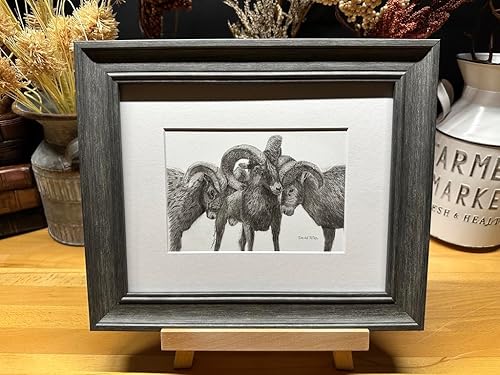 Rams Nature Wildlife Graphite Pencil Art Sketch Drawing Print Picture Limited Edition Titled 'Family Strong' by David Allen (8x10 Gray Frame &
