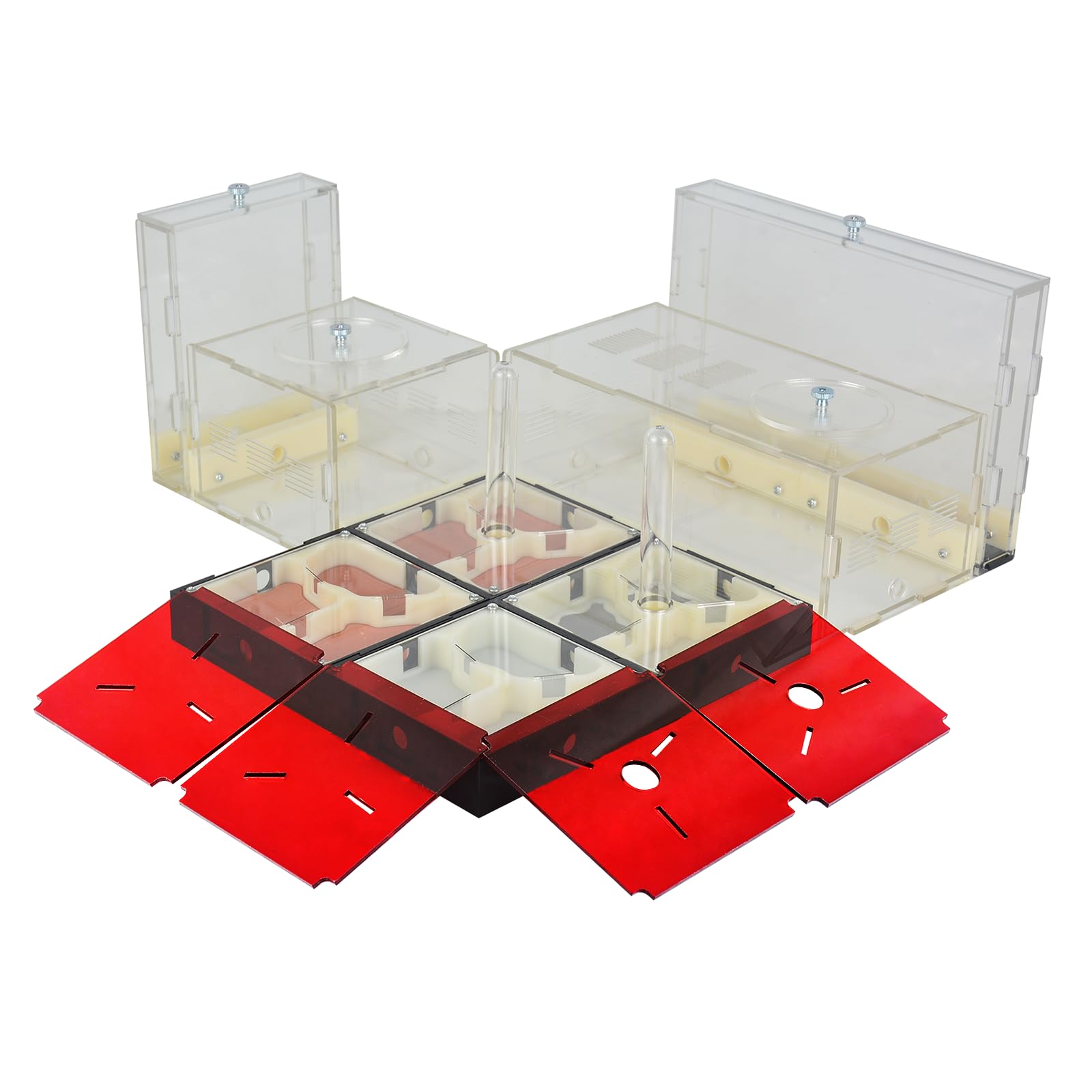 Ant Farm Nest Kit for Kids and Adults (Size 5), Ant Colony Formicarium with Sand Castle, Water Tower, Feed Area and Nursery Room