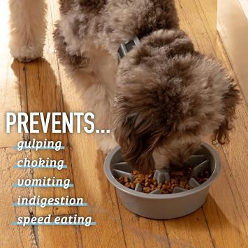 Leashboss Slow Feeder Dog Bowl Inserts - Maze Puzzle Food Bowl with Feeder Holes, Fits into Elevated Pet Feeders - Slow Eating for Large, Medium & Small Sized Breeds