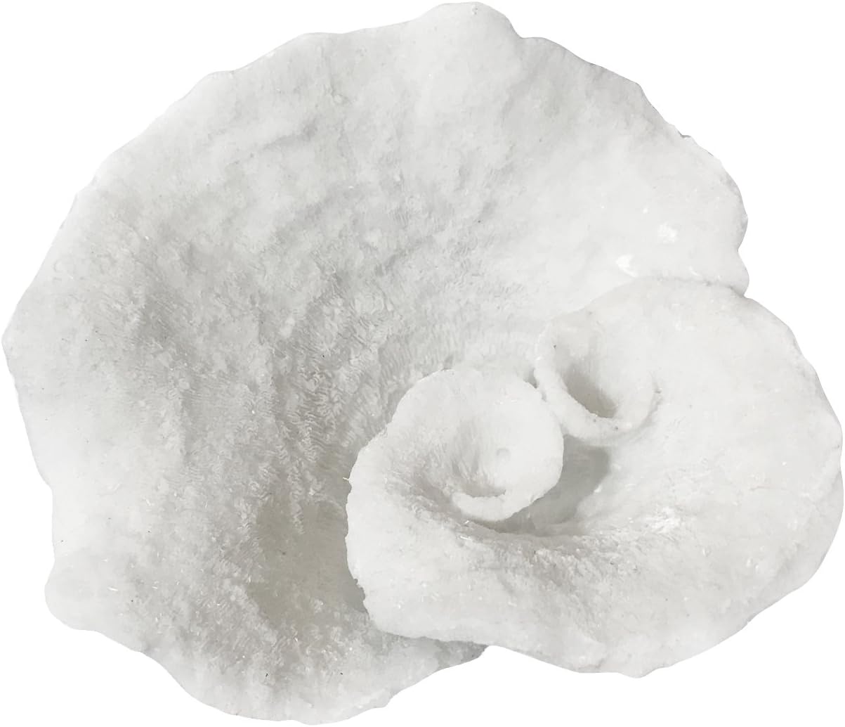 Recedo White Artificial Resin Lettuce Coral, Home Office Ornament, Aquarium Decoration, Ocean Sea Decor, White, Lettuce
