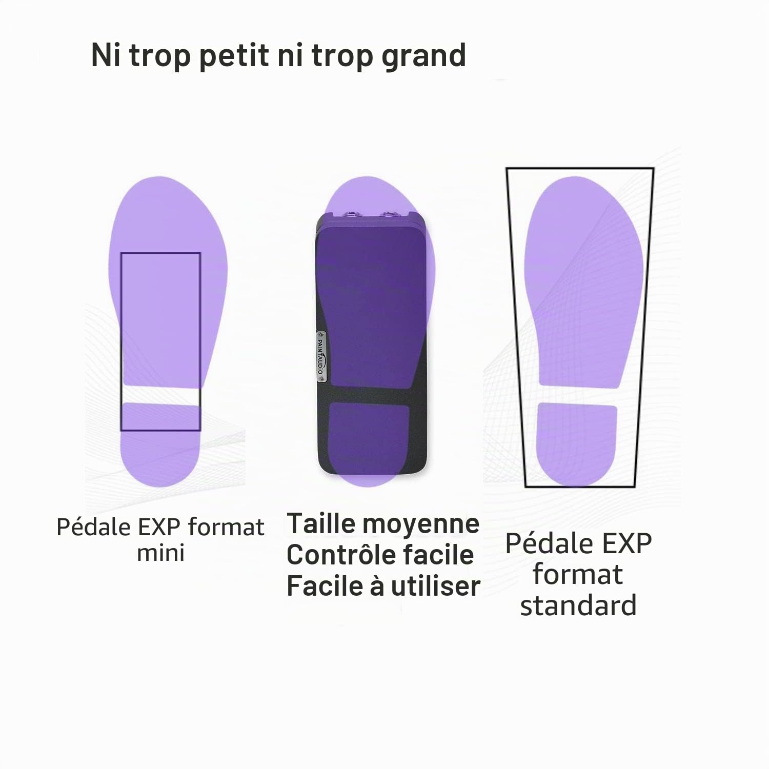 Paint Audio Foot Captain Pédale d'expression multi-effets compatible avec connexion pointe/anneau (Foot Captain)