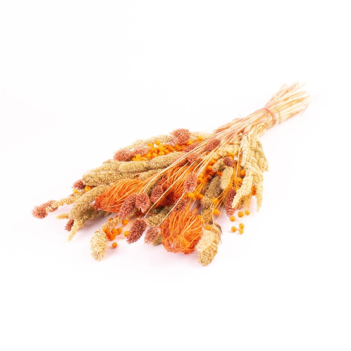innaGLAS Bouquet de Fleurs séchées Floralie, 55 cm, Ø 18 cm