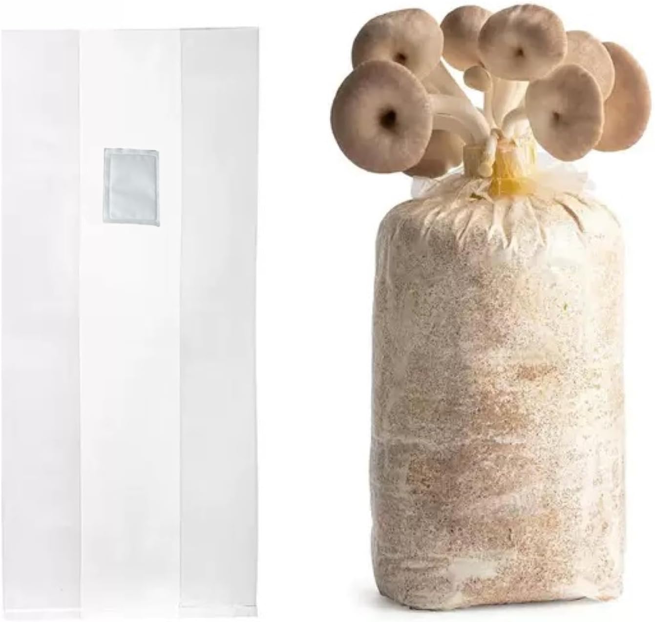 Sealable Mushroom Grow Bags with 0.2 Micron Filter,10''x5.5''x24'',0.08mm/3.15mil Thick PP,Extra Large Size Transparent Cultivation Bags for Commercial & Home Use (50 PCS)