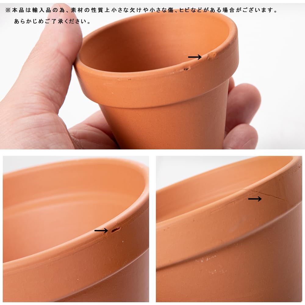 Amazon.co.jp: ドイツ製 テラコッタポット 6cm 穴有り SAA06