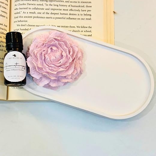 Carpe Diem Trinket Tray + Aroma Stone Diffuser 10ML