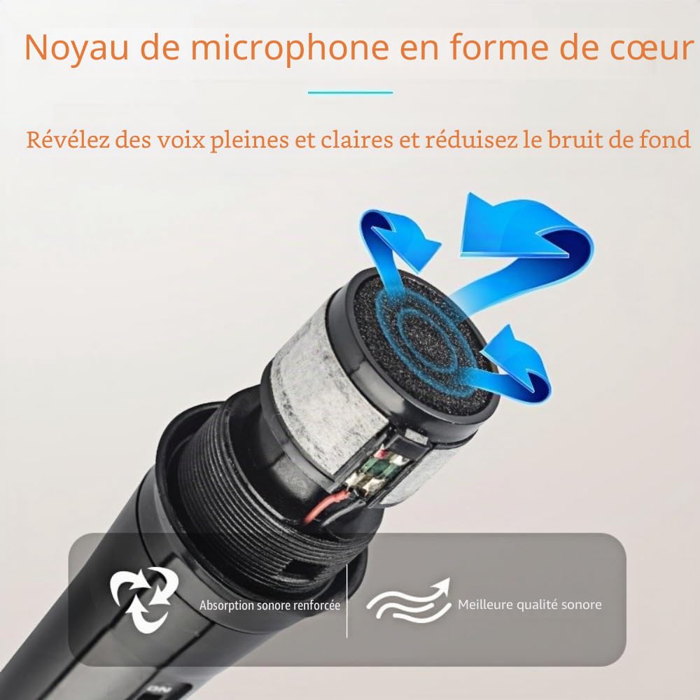 Micro Dynamique Karaoké Microphone à Main Micro Haut Parleur Vocal Dynamique Cardioïde Portable Jack 6,5mm XLR Pour Enfants Adultes Chanter Discours Mariages Activités Band Streaming KTV Podcast Etc