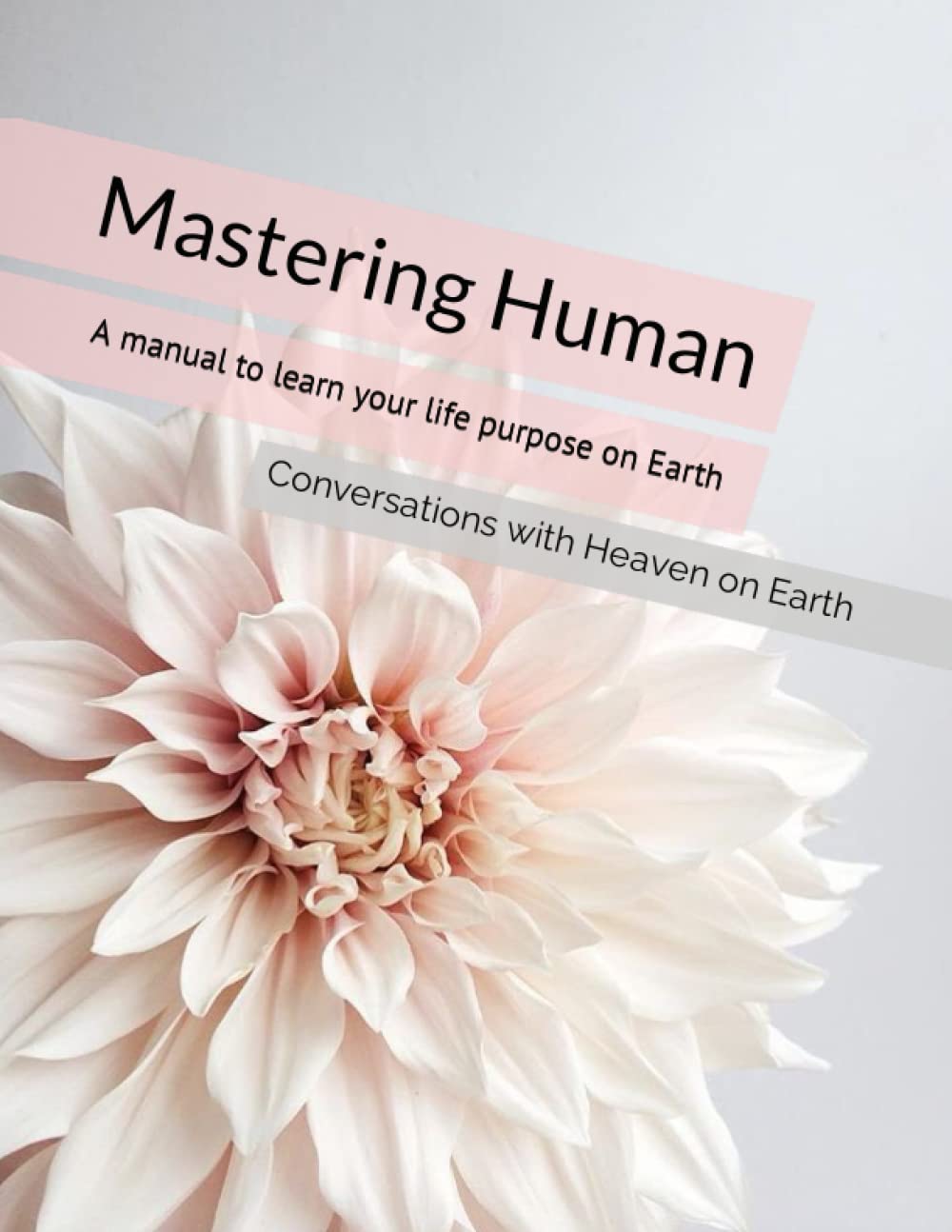 Mastering Human: A Manual To Understanding The Purpose Of Life On Earth:  Earth, Conversations With Heaven On: 9798367938791: Books - Amazon.ca