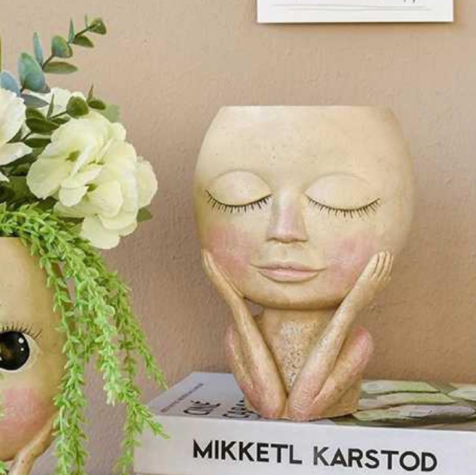 Miniatura 9 de Maceta de cara con cabeza de maceta, bonitas macetas para suculentas de cara de dama para plantas de interior y exterior, macetas de vid de resina,