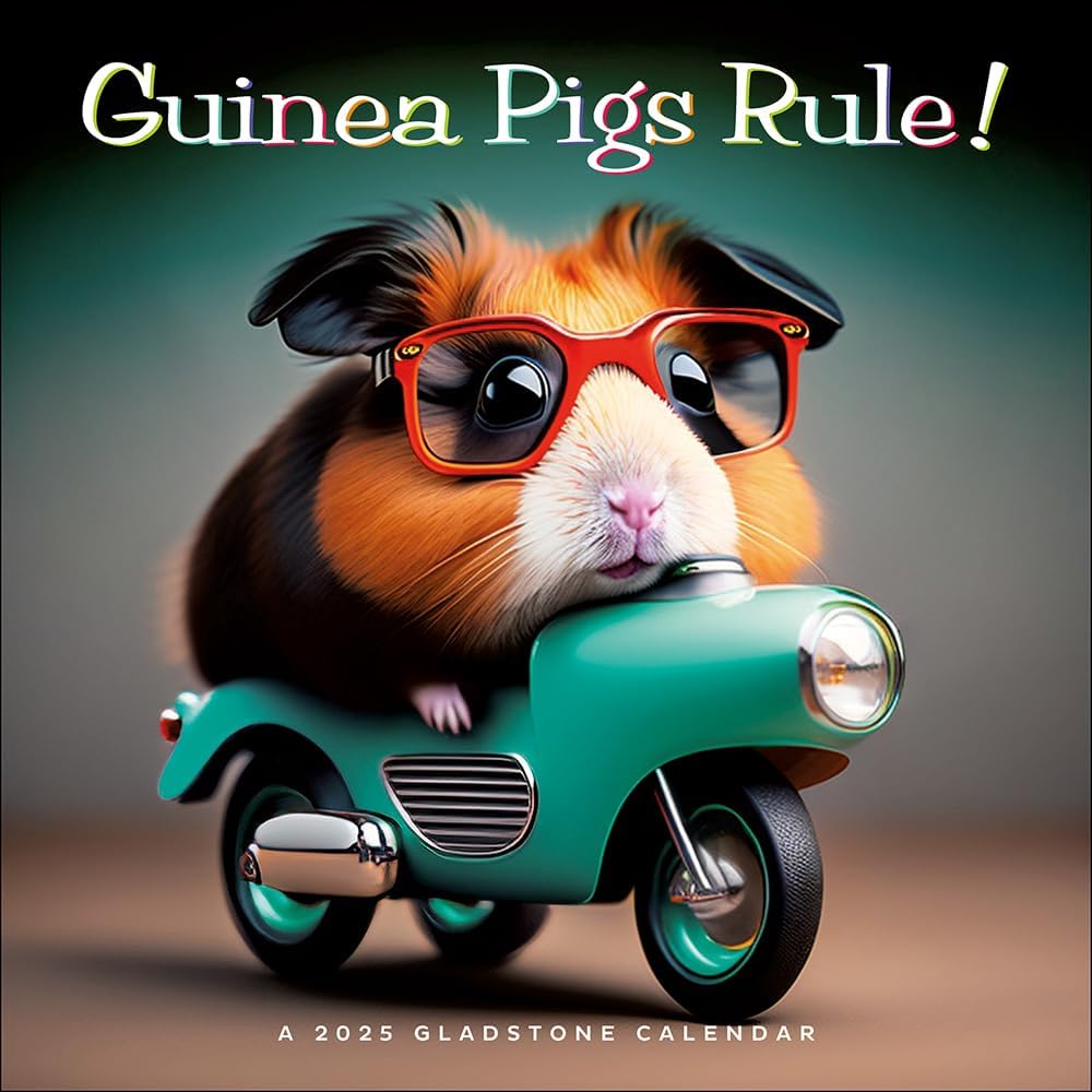 Amazon.com: Guinea Pigs Rule! Wall Calendar 2025 : Office Products