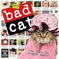 Algopix Similar Product 15 - Bad Cat Wall Calendar 2020
