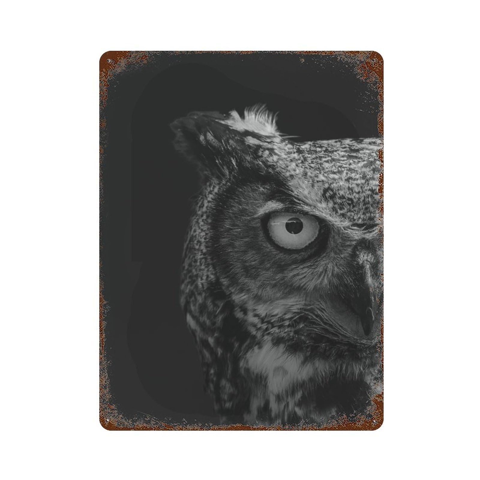Owl Animals Rustic Tin Plaque 15.7"x11.8", Novelty Wall Decor for Garage, Pub Or Kitchen