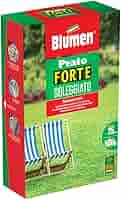 Semi Prato Forte Soleggiato Blumen - 1kg | Per Terreni Soleggiati | Calpestabile - Foto 12