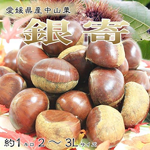 Amazon 中山栗のトップブランド 銀寄 ぎんよせ 大粒 2 3lサイズ 築地の匠 野菜 通販