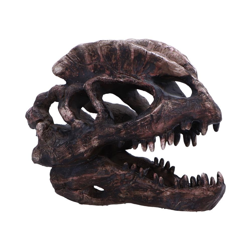 Blue Pirate Dilophosaurus Skull 16Cm