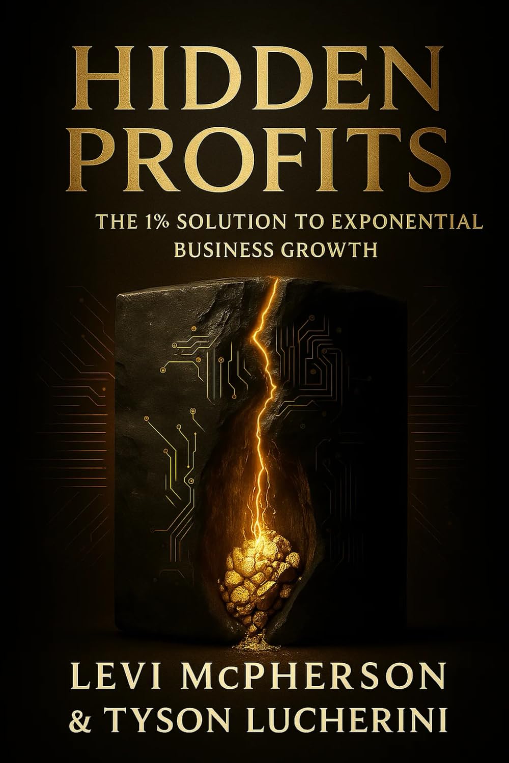Hidden PROFITS: The 1% Solution to Exponential Business Growth