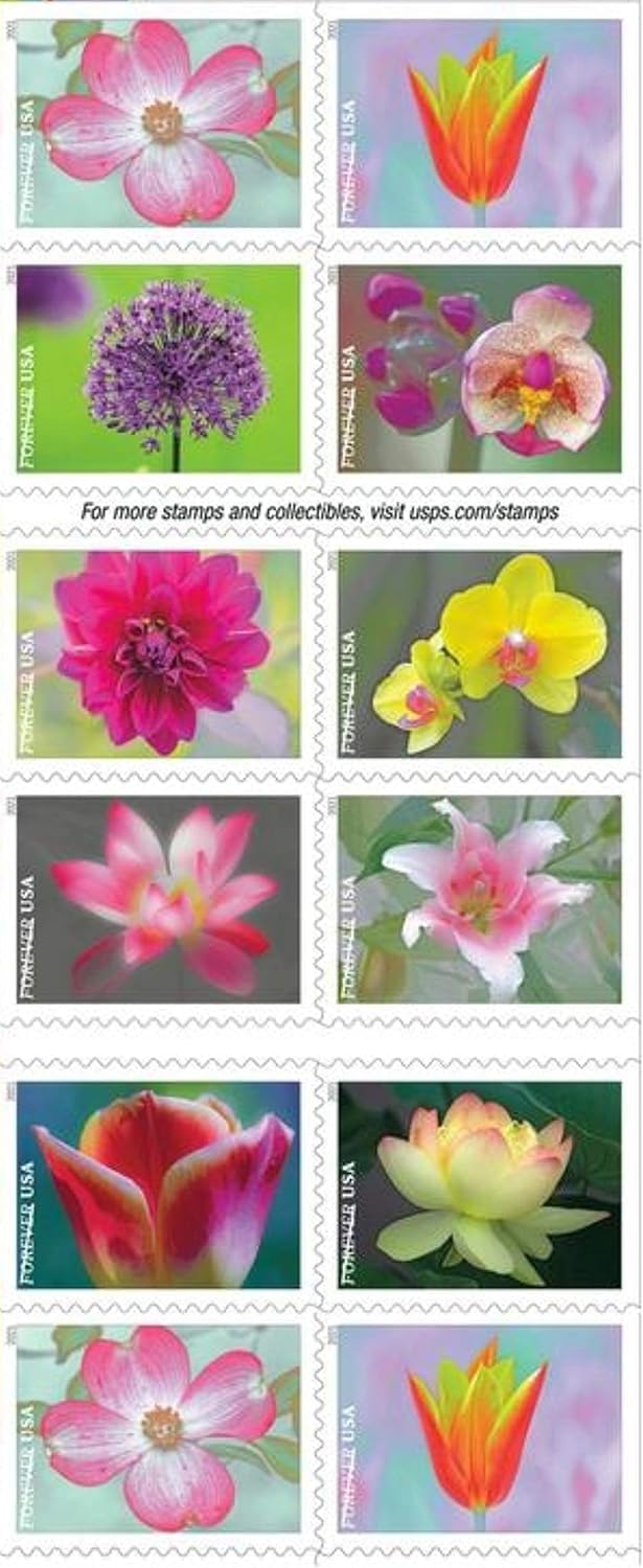 USPS Garden Beauty Forever Postage Stamps Book of 20 self-stick First Class Wedding Celebration Anniversary Flower Party (20 Stamps)