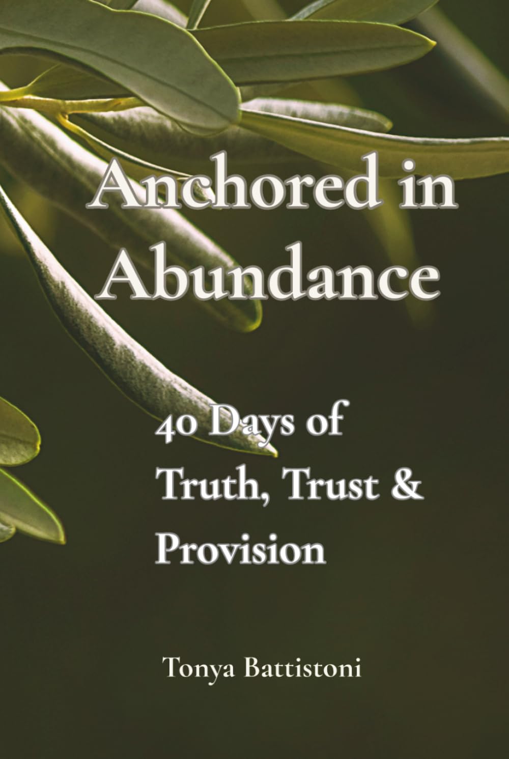 Anchored in Abundance: 40 Days to Truth, Trust and Provision