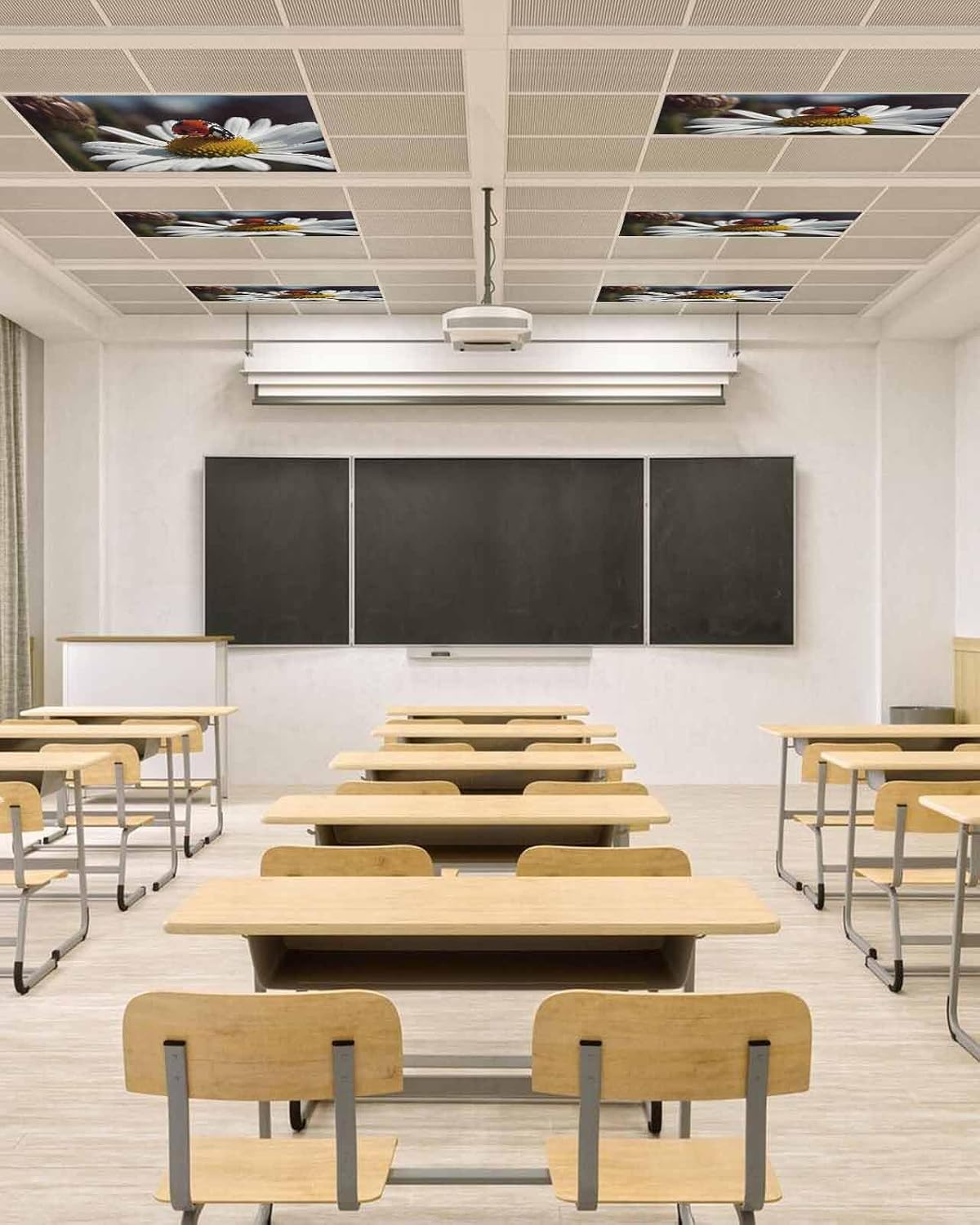 T&H XHome Fluorescent Light Covers for Classroom Ceiling 4 x 2 ft Magnetic Light Cover for Office Drop Ceiling Cute Ladybug White Daisy Light Filters for Hospital Library 3 Pack