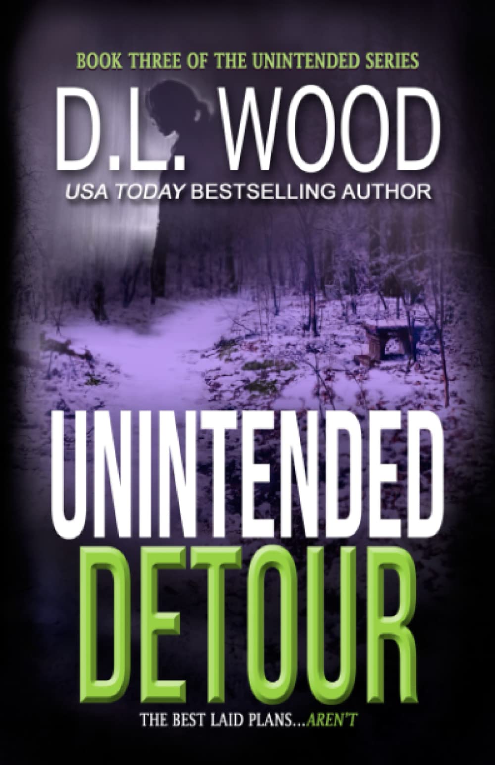 Unintended Detour: Book Three in the Unintended Series: 3
