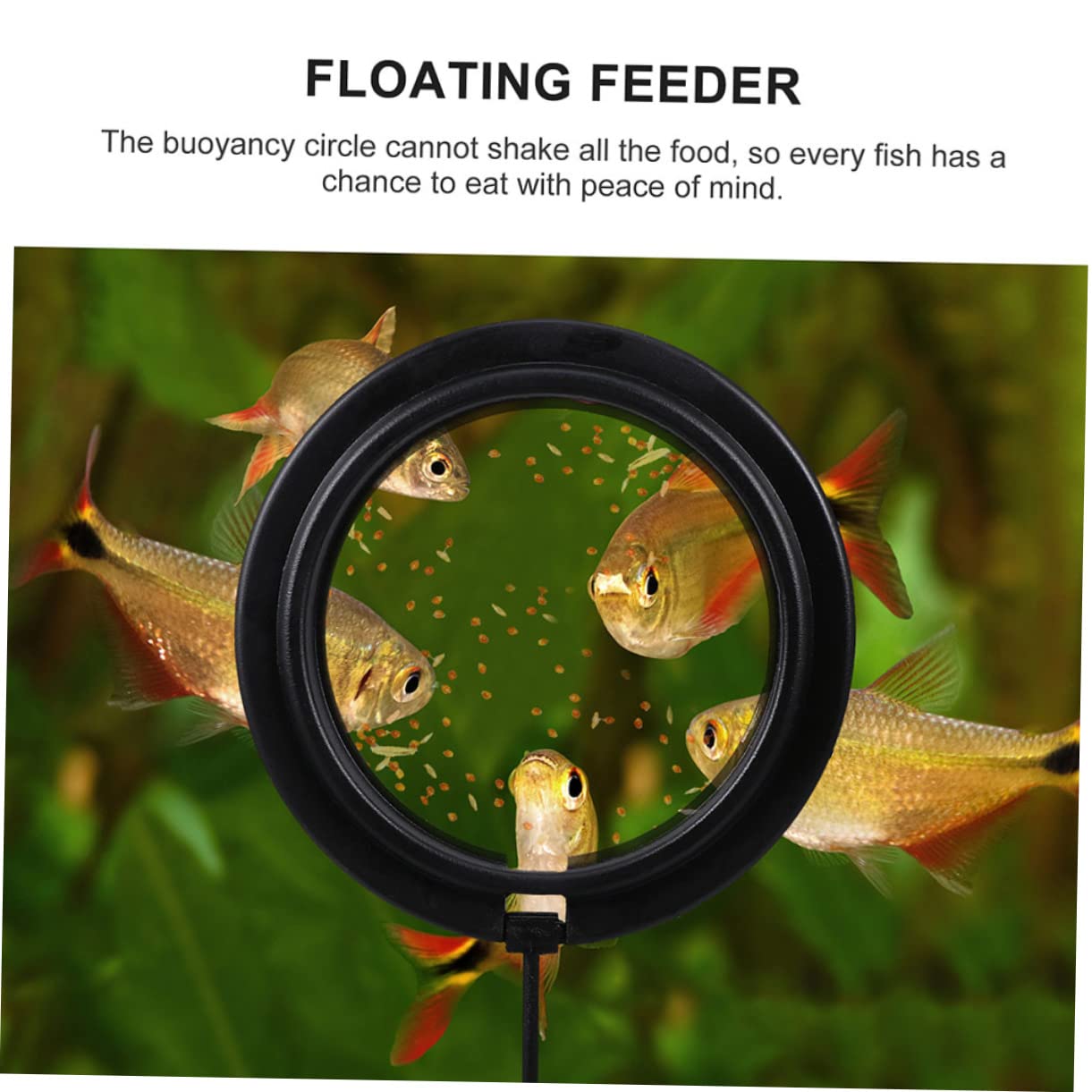 Mipcase 15stücke Tragbare Fischfütterungsringe Für Aquarien Professionelle Futterstationen Für Süß Und Salzwasser Für Garnelen Und Tropische Fische Mit Schwimmendem Design Für
