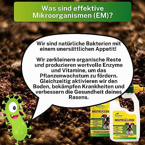 Greenyp Neutralizer - schützt Rasen vor Hundeurin Flecken I Urin neutralisieren dank Effektive Mikroorganismen I 100% organischer Bodenaktivator für Rasen I Kanister mit 12g für 600m2