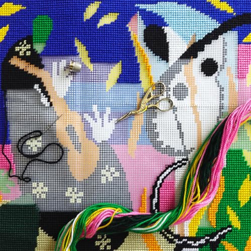 Image of Art Needlepoint Kit for Adults and Beginners - The Sorrows of the King by Henri Matisse 16″ x 16″ with Clear, Precise Printed Design on Cotton Canvas; Includes 2 Needles, Yarn, and Easy-Read Chart