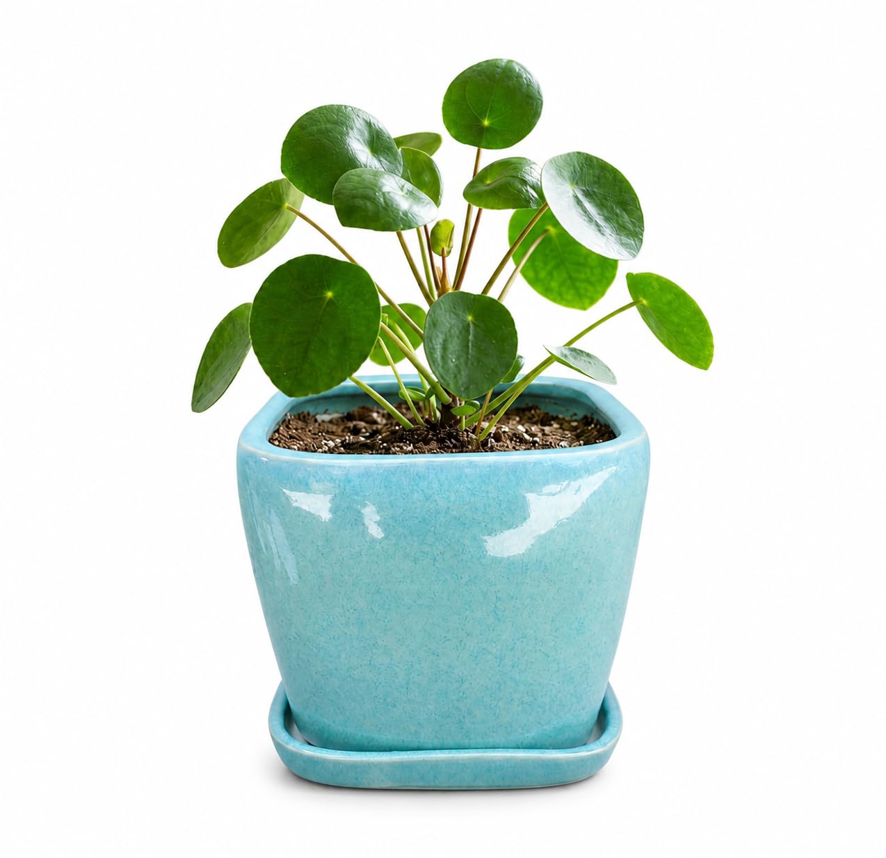 Premium Big Square Ceramic Planter with Drainage Hole and Saucer – Indoor & Outdoor Pot for Medium Size Plants and Herbs – Elegant Geometric Decorative Pot for Home & Office-image-22