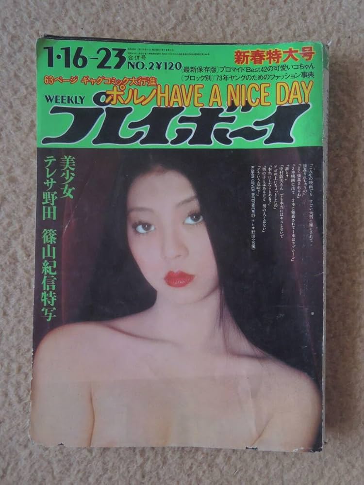 平凡パンチ　プレイボーイ　創刊号 プレイボーイ 創刊号(柴田錬三郎 梶山季之 平岩弓枝 石原慎太郎