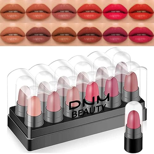 BINGBRUSH Juego de 12 pastillas de lápiz labial de maquillaje, lápiz labial rojo mate, juego de manchas de labios para mujer, color marrón nude,