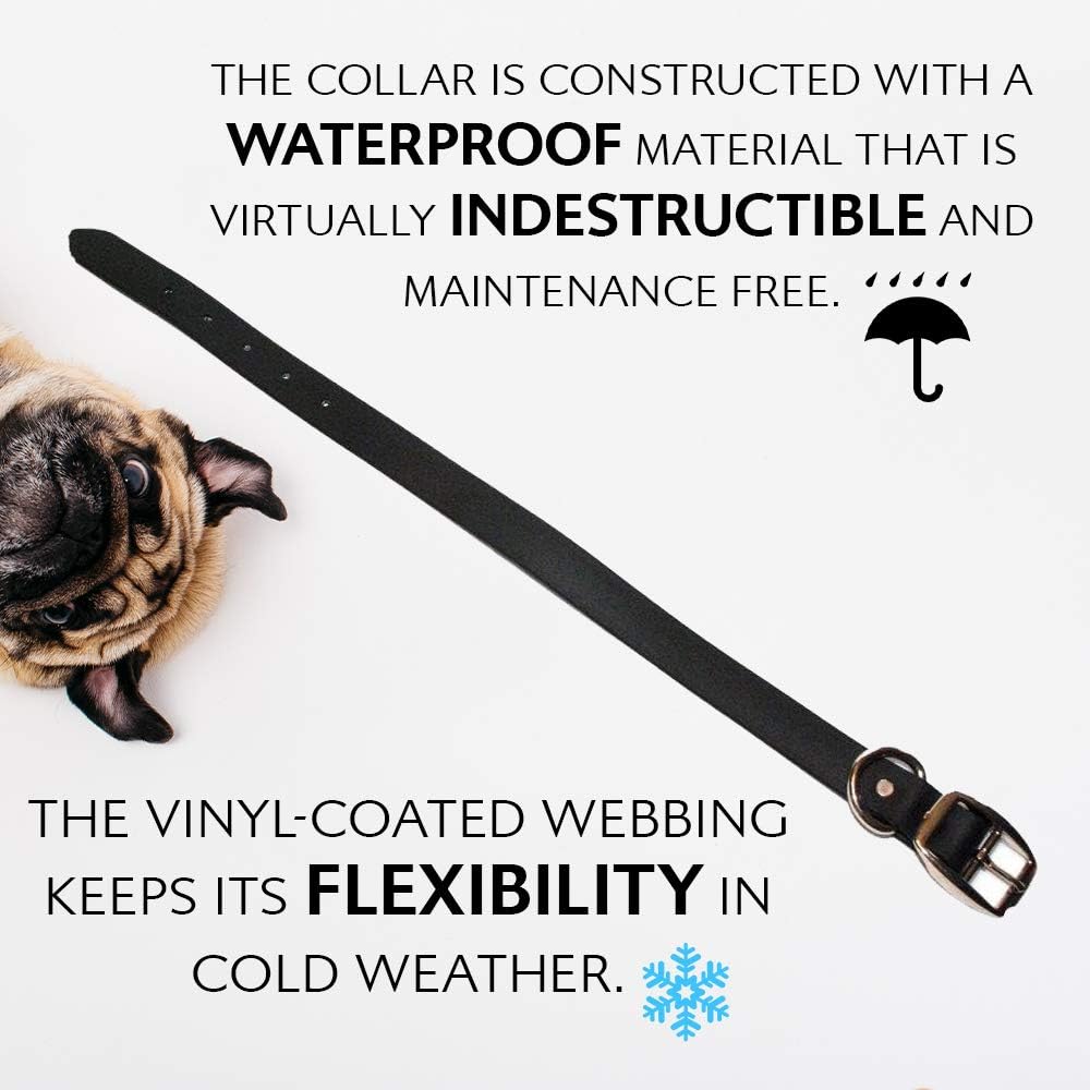 Regal Dog Products Medium Black Waterproof Dog Collar and Leash Set | Heavy Duty Double Buckle & D Ring - 5'ft Leash | Adjustable Biothane Dog Collar | Chew Resistant Waterproof Collar for Dogs