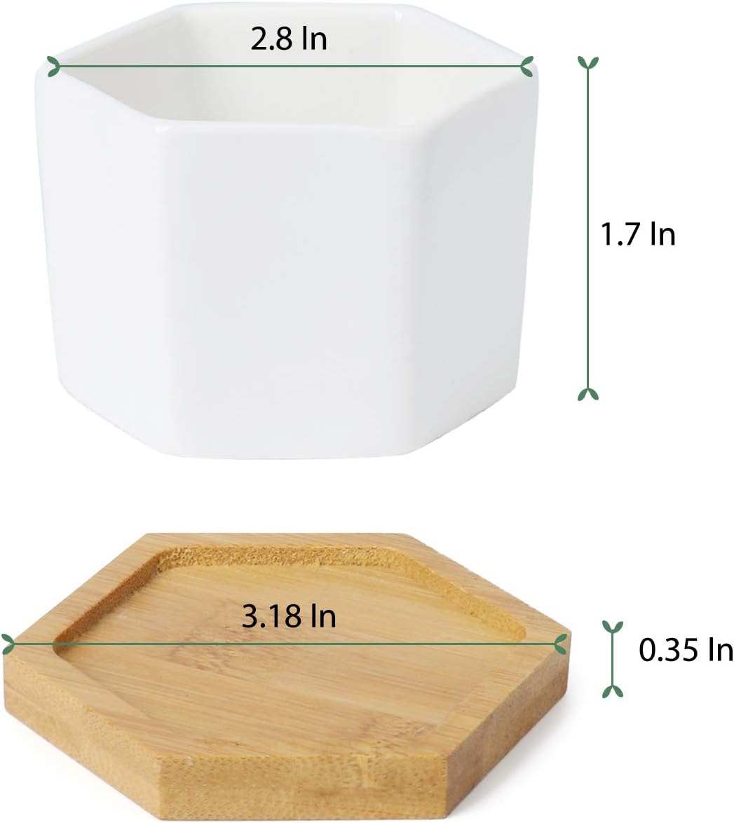 Greenaholics Small Succulent Plant Pots - 2.76 Inch White Ceramic Planter Indoor Mini Flowers Containers for Succulents or Cactus with Drainage and Bamboo Tray - Set of 4