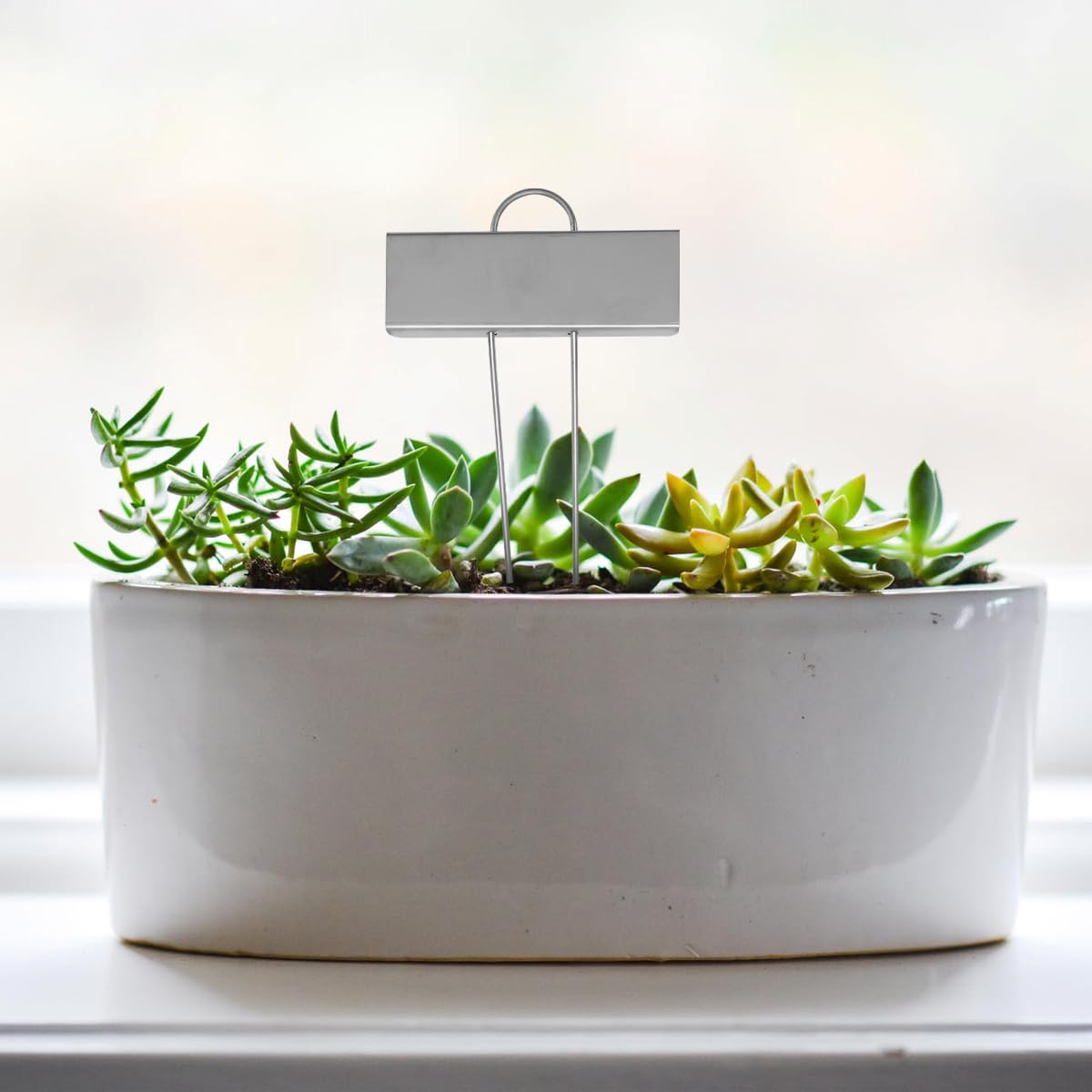 Amazon.co.jp: HANABASS 園芸ラベル 植物ラベル T型ラベル 立型ラベル