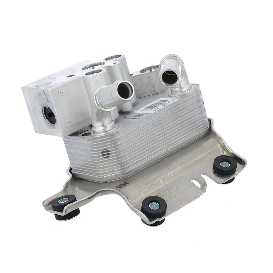 Guiro (SW-GUIRO) | Guiros | World Percussion | Steve Weiss Music