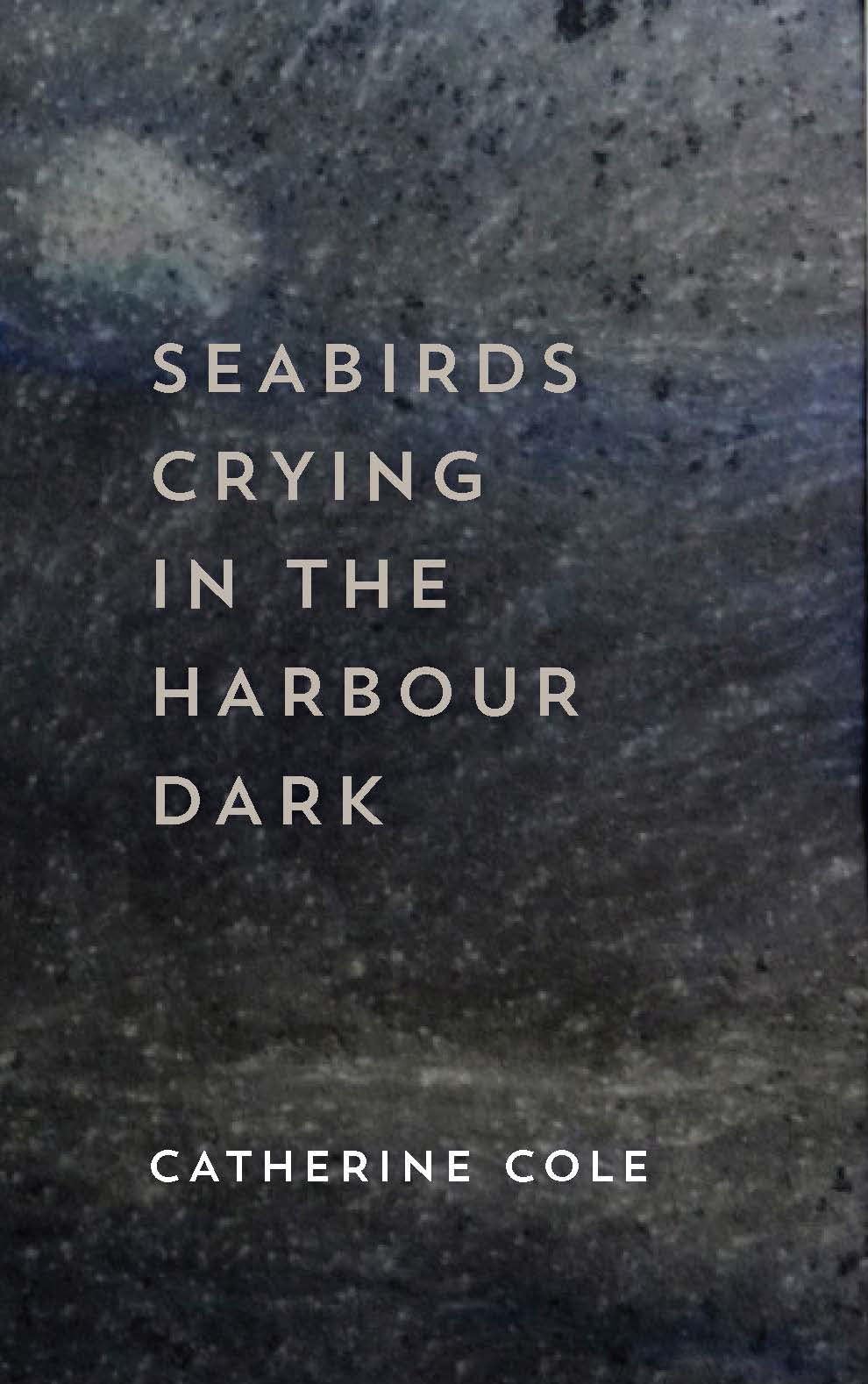 Seabirds Crying in the Harbour Dark