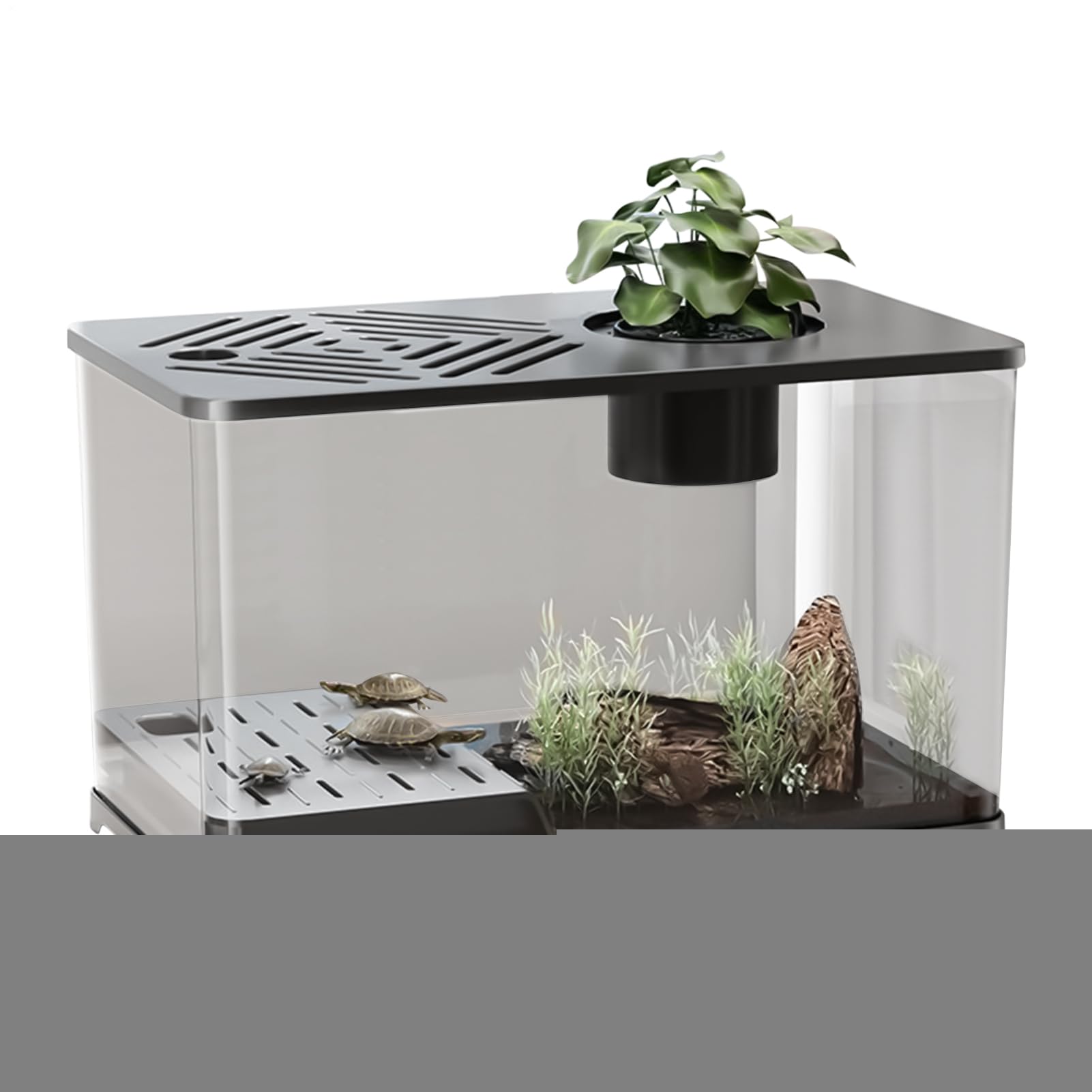 Aquarium Complet de Bureau avec Zone de Repos pour Tortue et Crevettes HD
