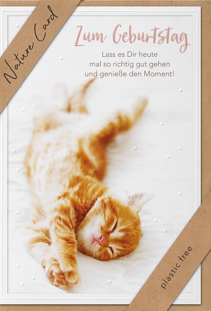 bsb Happy Birthday Card Birthday Greetings Birthday Wishes – Nature Card – Cat – Envelope Kraft Paper