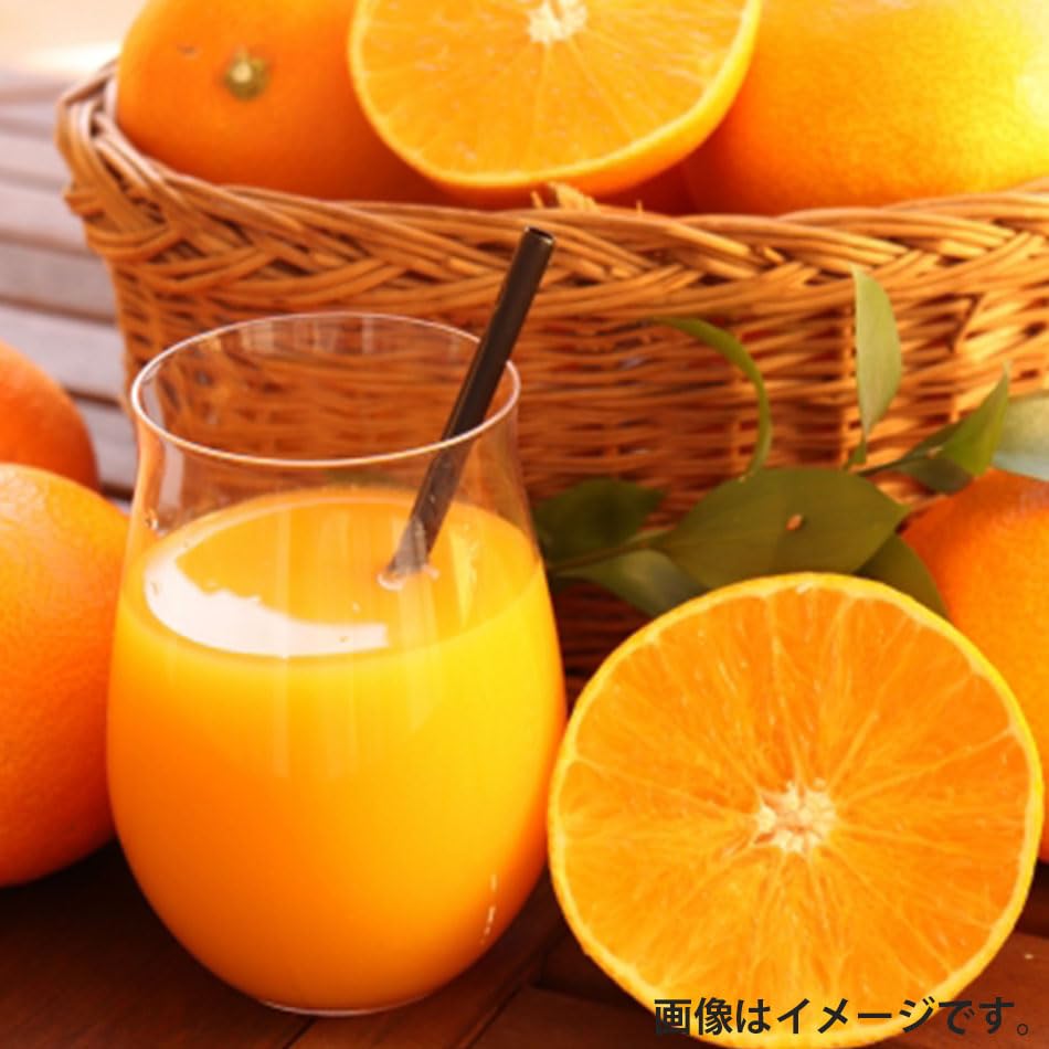 Amazon.co.jp: JAジューシー みかんジュース 100% 紙パック 125ml×72本