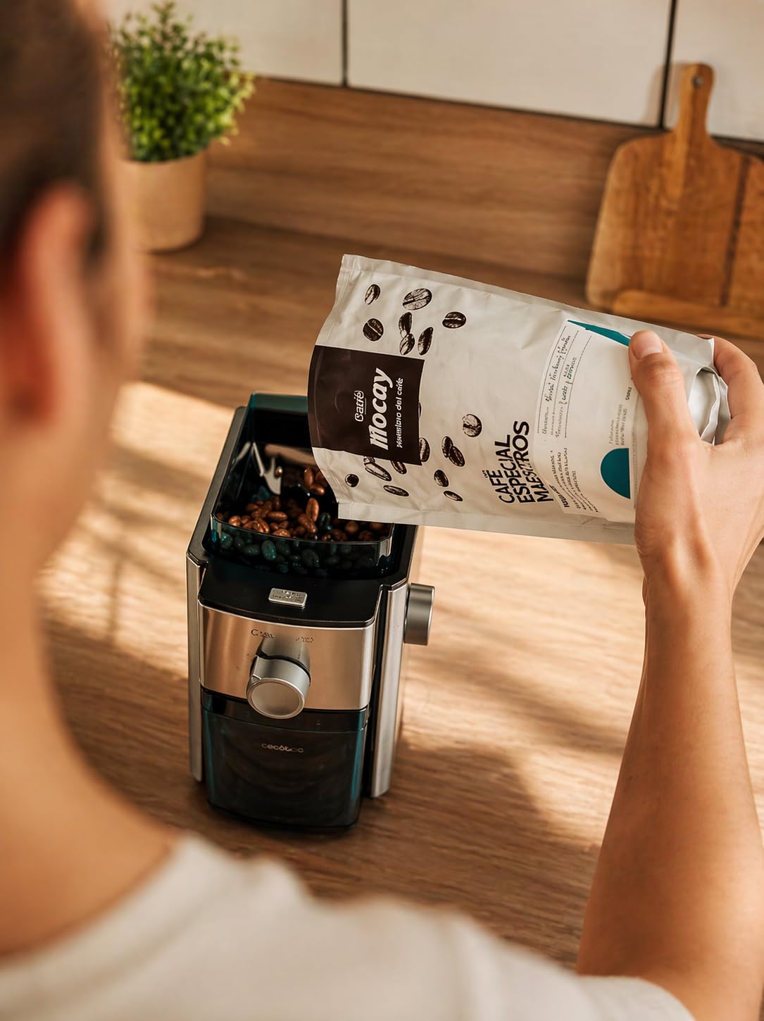 MOCAY - PACK OFICINA GRANO - Grano Maestro y Café Grano Ecológico Descafeinado + Vaso de Mocay de Regalo