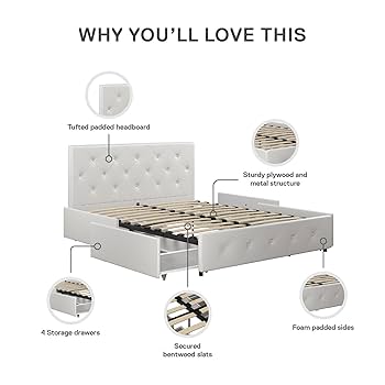 Dabudd様 617BIppyG8L._UF350,350_QL80_.jpg