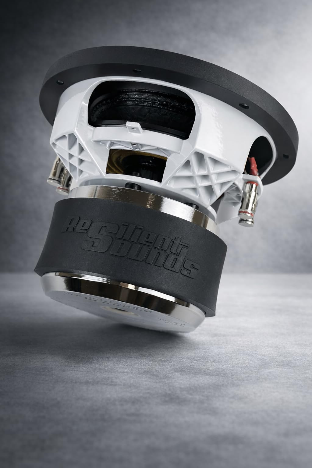 Gold 10" SUBWOOFER D4 1,000RMS (2,000WATTS)