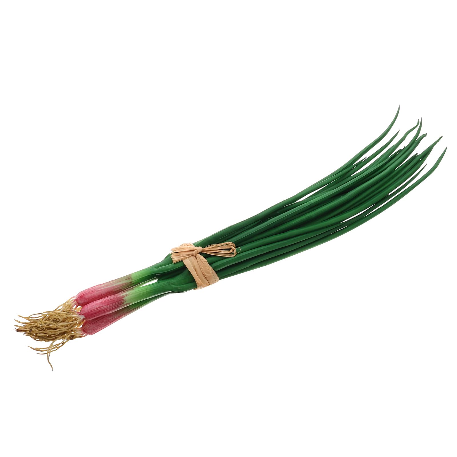 LOGOFUN Artificial Green Onion Models Lifelike Scallion Props PVC Fake Realistic Vegetables for Farmhouse Market Kitchen Display Decor