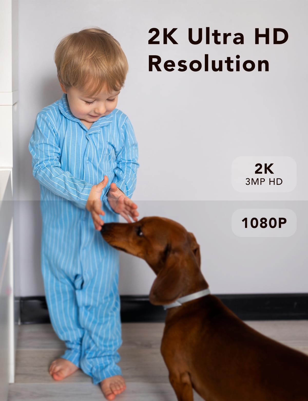 Telecamera di sicurezza 2K, esterna/interna per casa, animale domestico, bambino, baby sitter, visione notturna a colori impermeabile IP65, luce bianca e sirena, registrazione, rilevamento