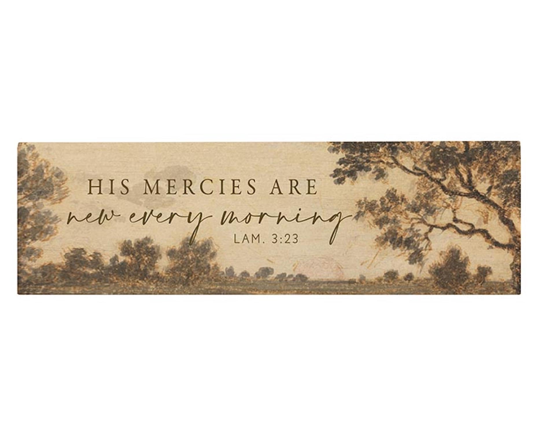 P. Graham Dunn Rustic Wood Stick Sign, 10" x 3", His Mercies