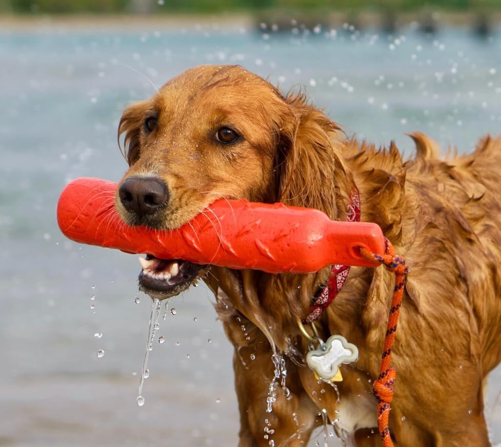 KONG Training Dummy Rope Bumper Dog Toy - Durable Floating Retriever for Fetch & Training - 2 Pack (Orange, Large) - Image 2