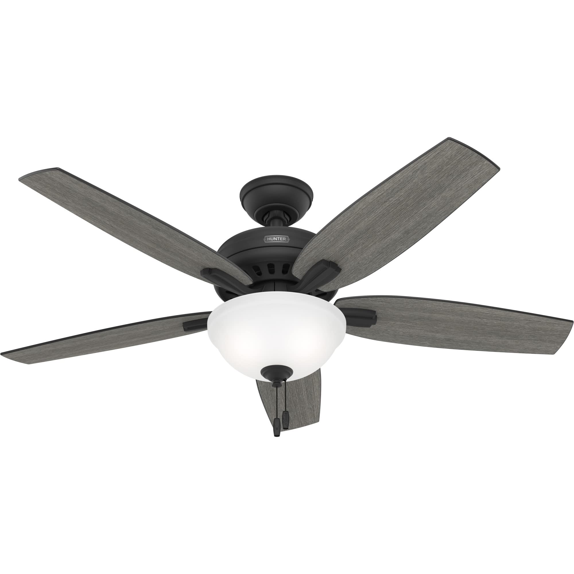 Hunter 52 inch Indoor Ceiling Fan with LED Light - Black Ceiling