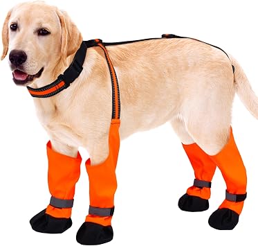 Allroaring Dog Suspender Boots, Waterproof Dog Rain Boots, Puppy Snow Shoes for Winter, Anti Dirt Pants with Shoes, Adjustable Suspender Pants for Outdoor Walking