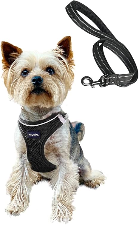 Puppy harness xsmall Clearance