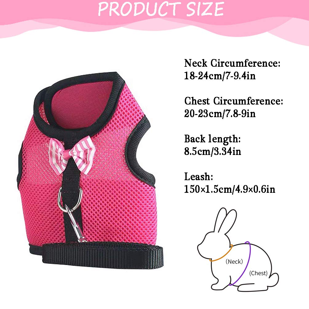 bunny leash amazon